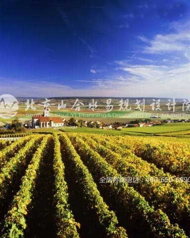 法国葡萄酒庄园规划设计