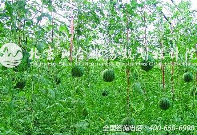 济阳县生态休闲农业发展迅速