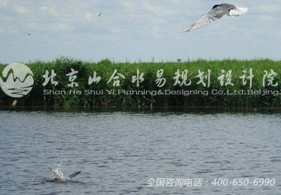 大庆龙凤湿地公园