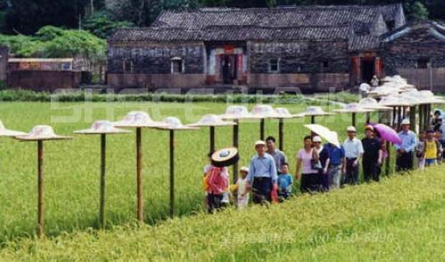 广大旅游者的休闲需求刺激了中国乡村旅游经济的发展