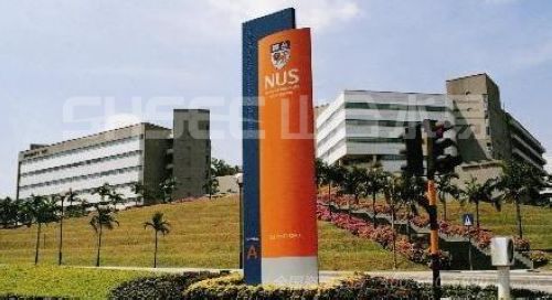 国立新加坡大学