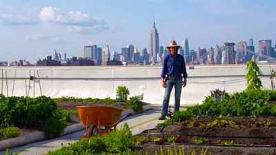 布鲁克林农场号称全世界最大的屋顶土培农场