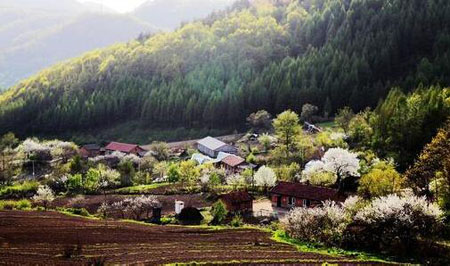 中国乡村有未来最稀缺的旅游资源