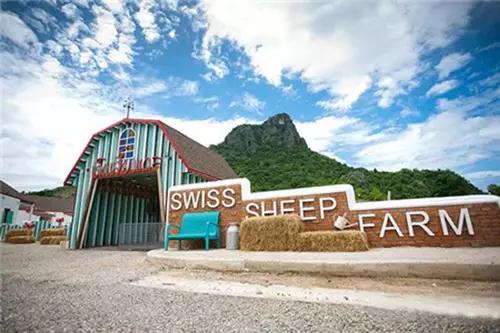 泰国瑞士绵羊牧场